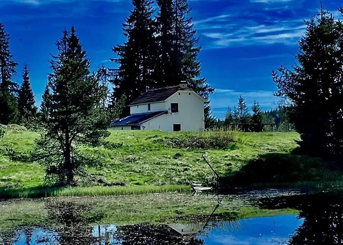 еко орловецъ Batak