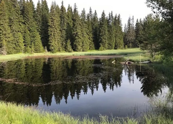 Hotel еко орловецъ Batak